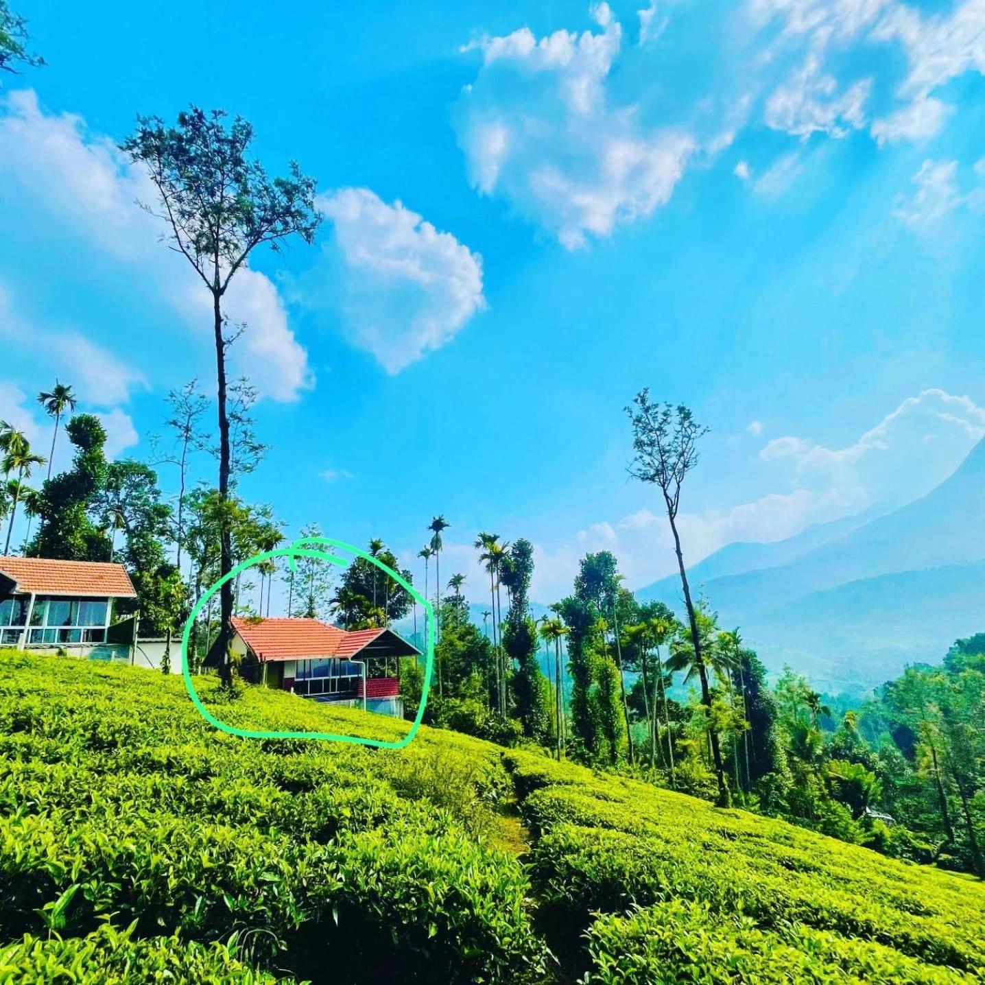 Mayflower Holiday Villa Meppadi Экстерьер фото